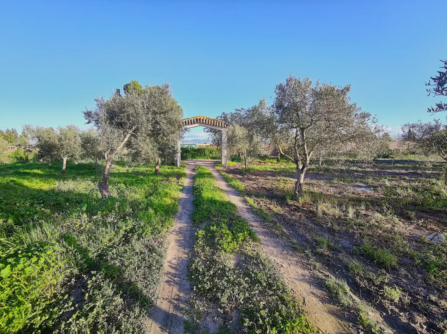 Lands and plots for sale in Lebrija, imagen 2