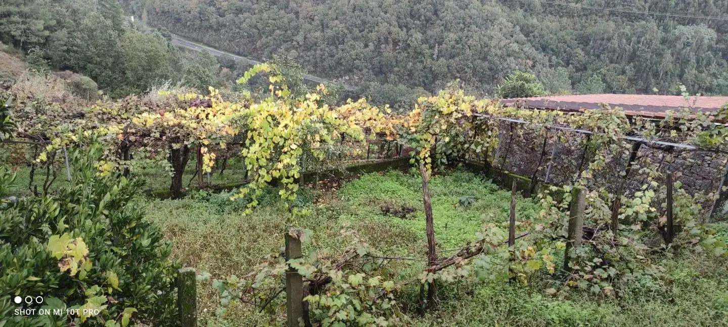 Jardí de Casa o xalet en venda en A Peroxa  amb Calefacció, Jardí privat i Terrassa