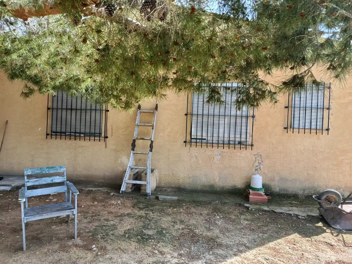 Vista exterior de Casa o xalet en venda en Elche / Elx amb Terrassa