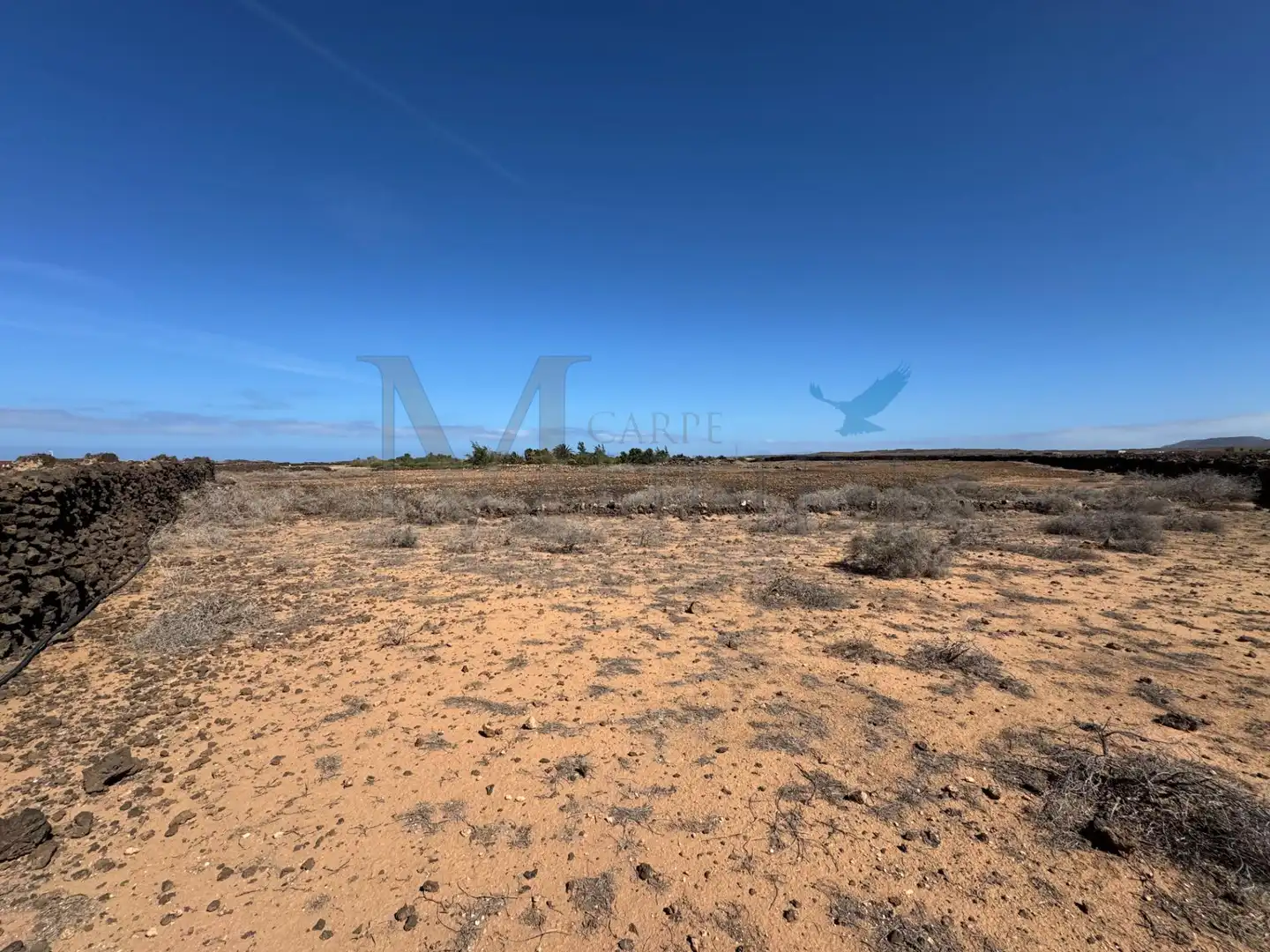 Land for sale in La Oliva