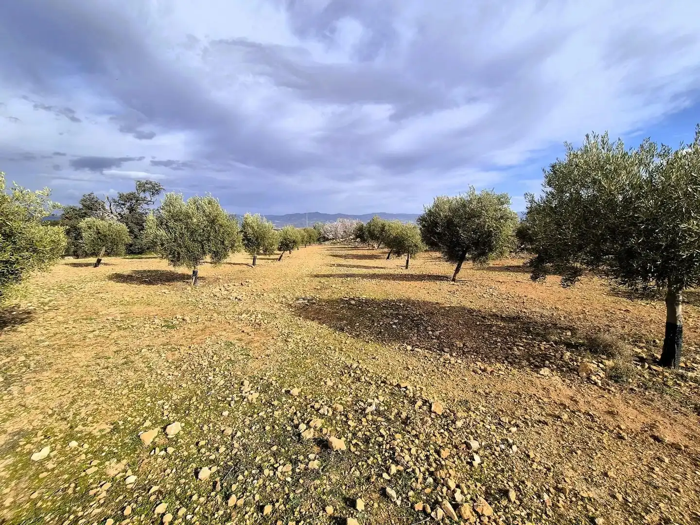 Terreno residencial en venta en Salar, imagen 18