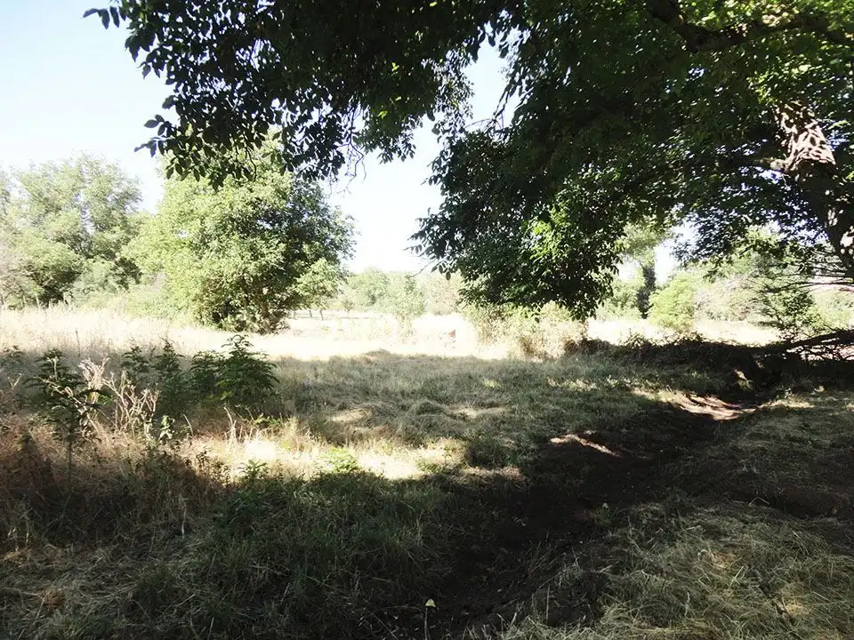 Casa o chalet en venta en Pinilla de los Moros con Trastero y Amueblado