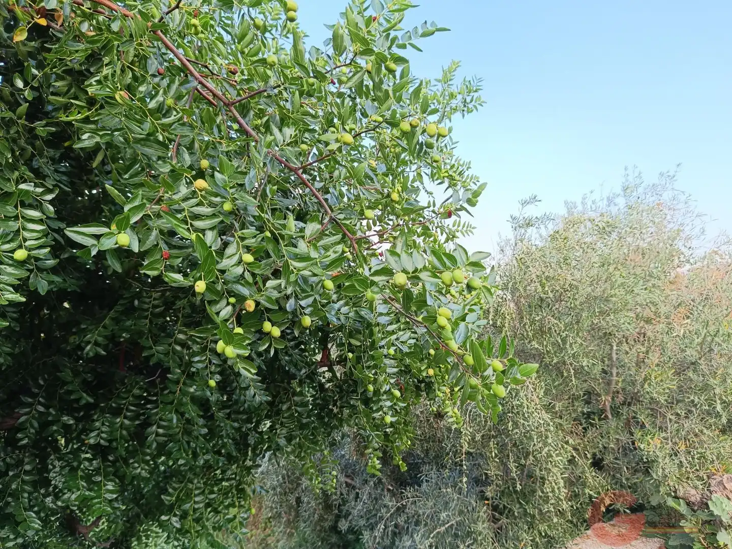 Casa rustica in vendita a Lanjarón, imagen 23