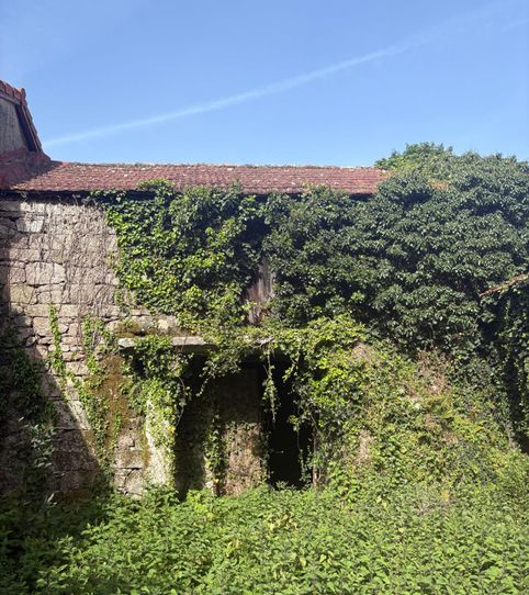 Foto 2 de Finca rústica en venta en Aldea Cardedo O, 4, O Irixo, Ourense