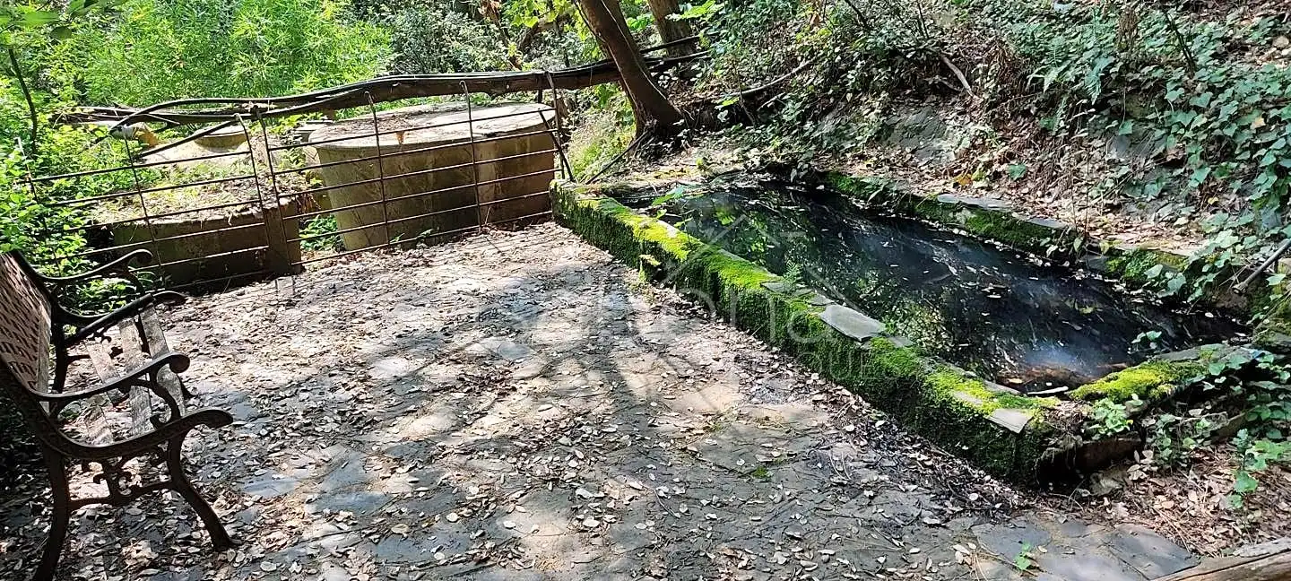 Vista exterior de Finca rústica en venta en Arbúcies con Jardín privado, Terraza y Amueblado