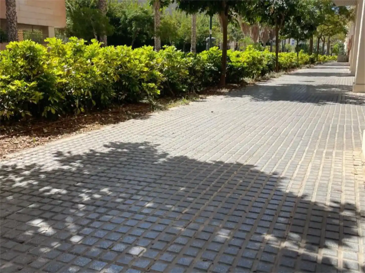 Außenansicht von Geschaftsraum zur Miete in Málaga