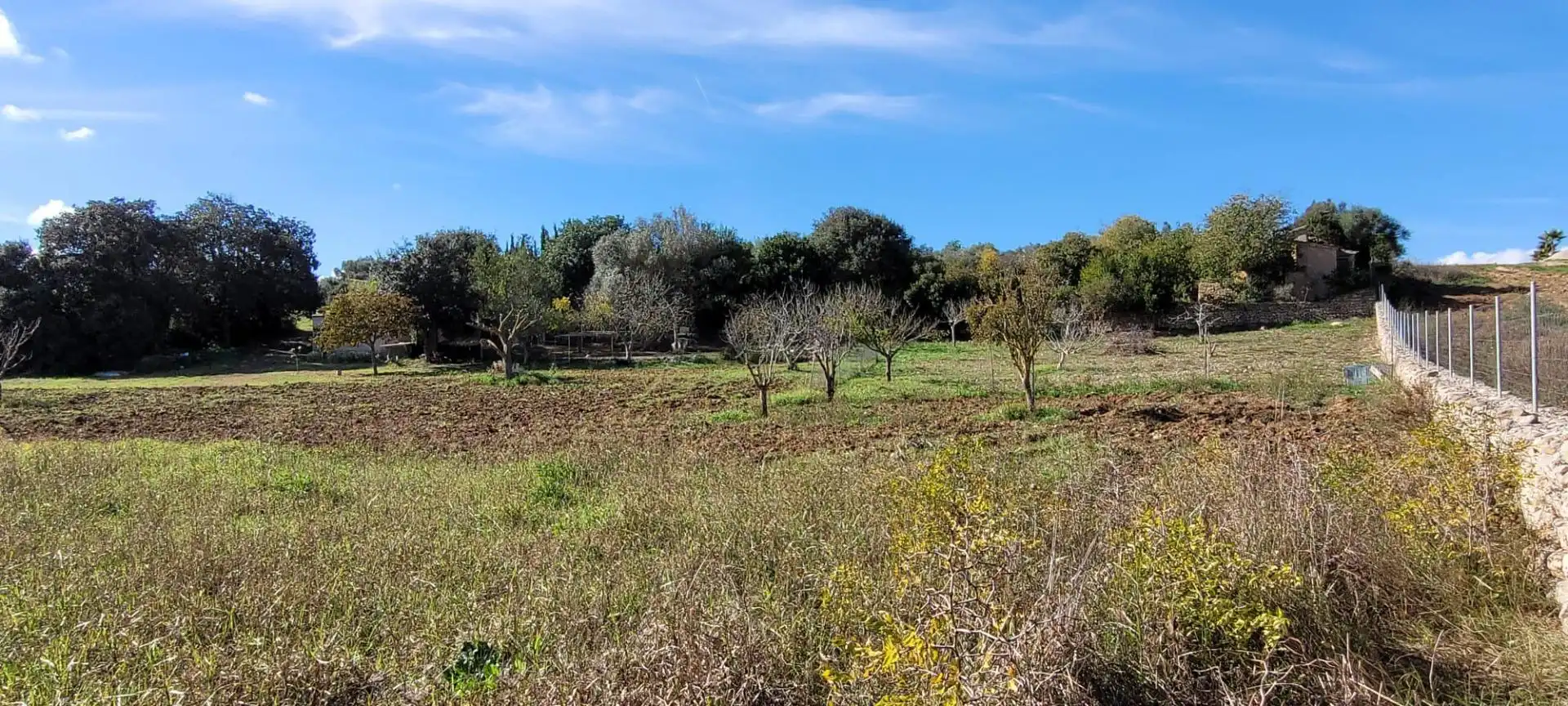 Terrain résidentiel à vendre à Manacor Centre, imagen 15