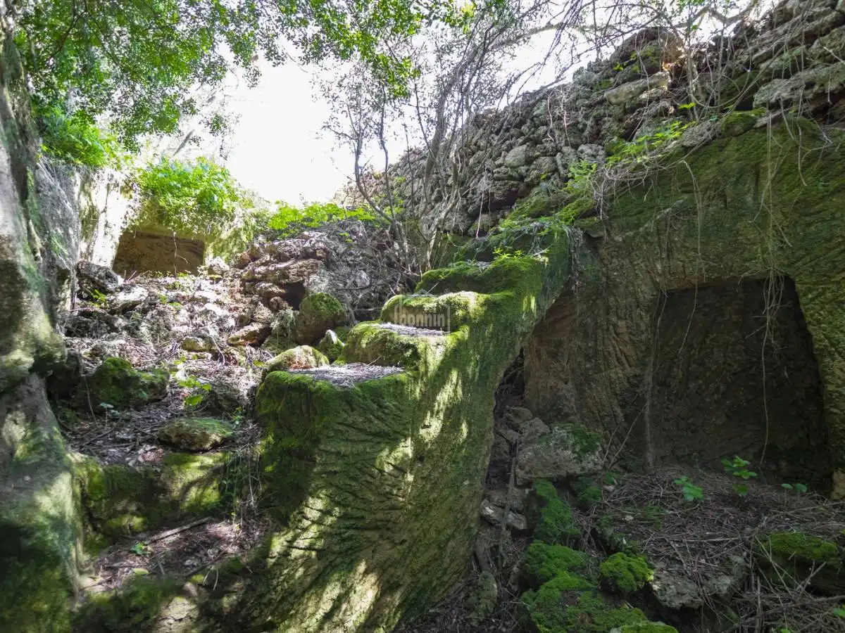 Casa rústica amb jardí en venda a Sant Climent - Es Canutells, imagen 49