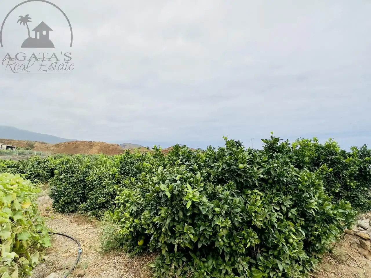 Finca rústica en venta en La Orotava con Jardín privado y Terraza
