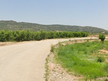 Terreno rustico in vendita a Llombai 17