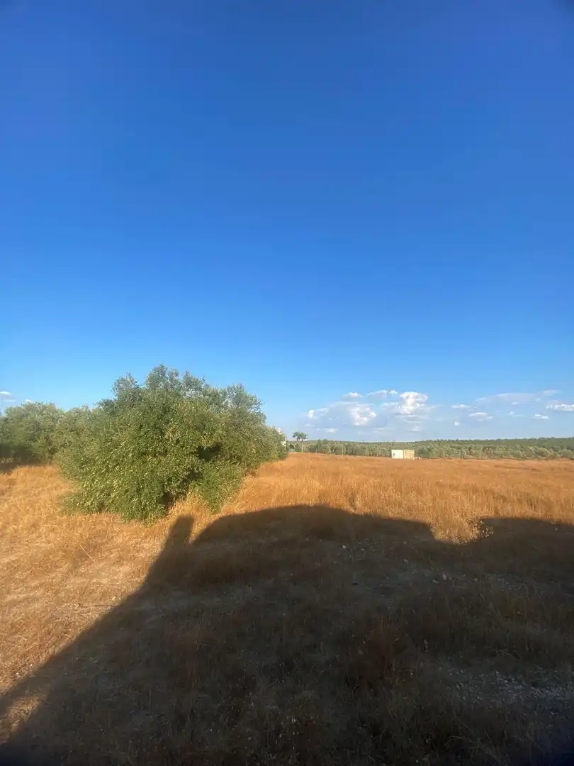 Residential for sale in La Puebla de Cazalla