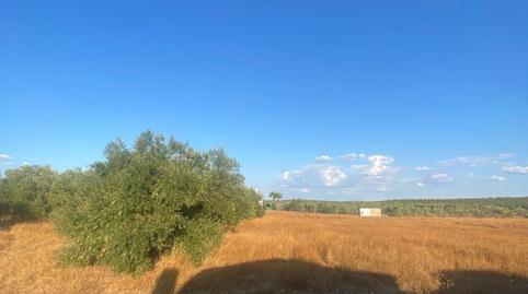 Foto 3 de Residencial en venda a La Puebla de Cazalla, Sevilla