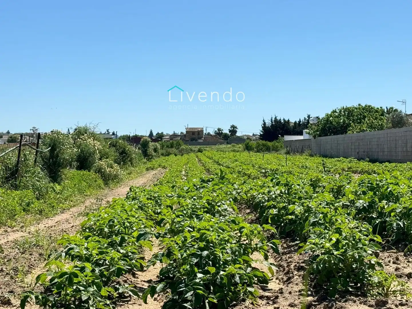 Terreni e lotti in vendita a Roche