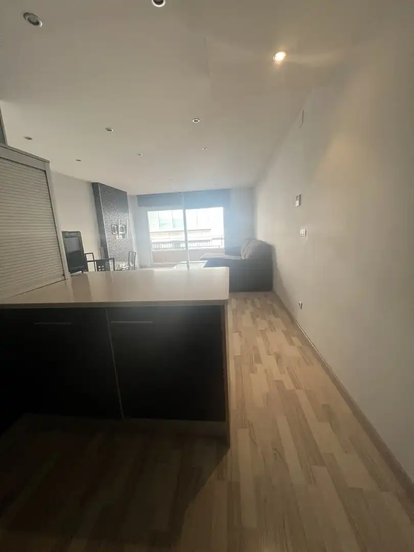 Wohnung zur Miete in JULI GARRETA, Eixample Nord