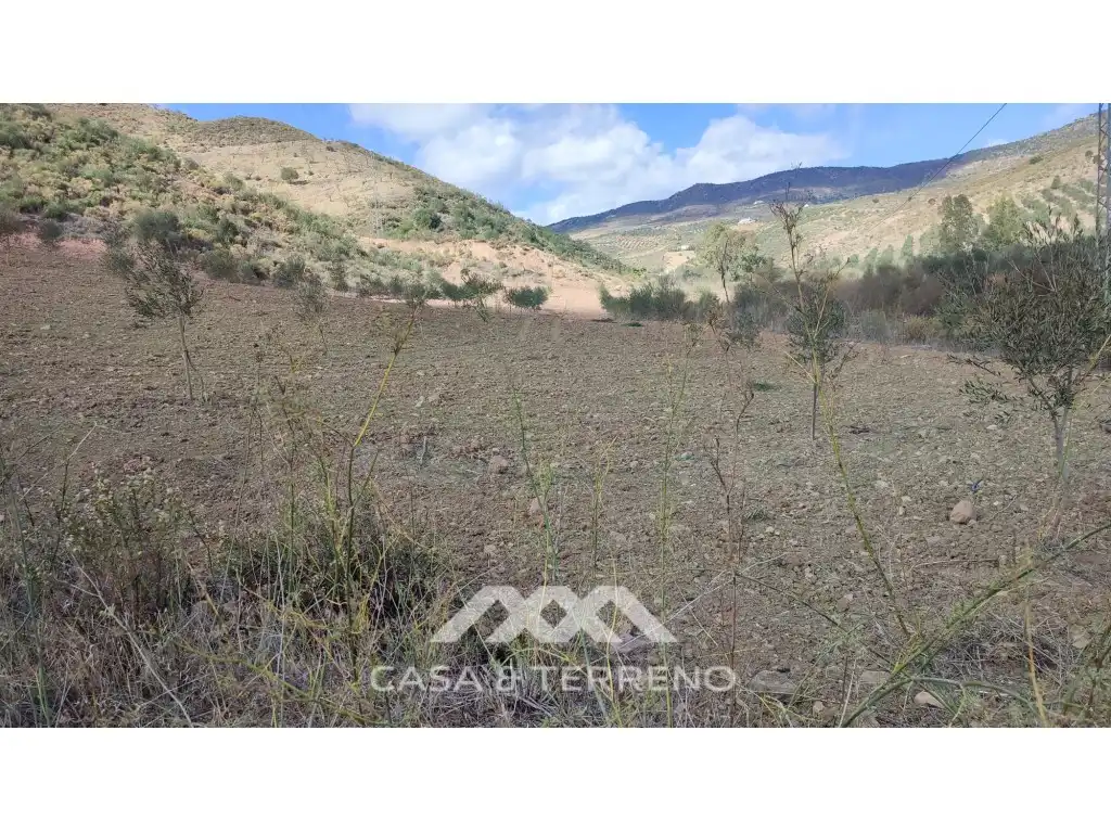 Terreni e lotti in vendita a Polígono 174 Parcela, imagen 3