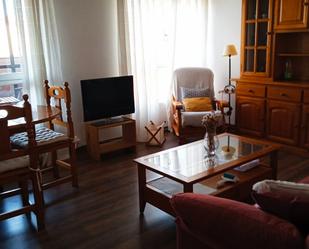 Living room of Flat to rent in Oviedo   with Heating, Parquet flooring and Terrace