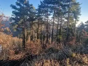 Residential land for sale in Diseminado Rust Muntanyola 27, imagen 7