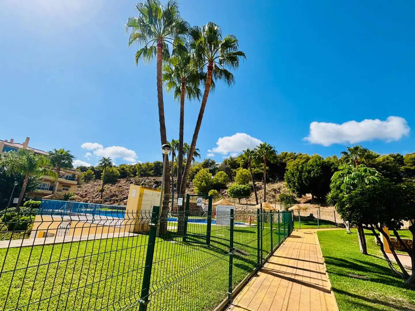 Bajo con piscina en venta en JUAN ROSA MATEO, imagen 44