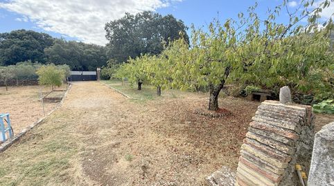 Foto 4 de Finca rústica en venda a Ayegui / Aiegi, Navarra