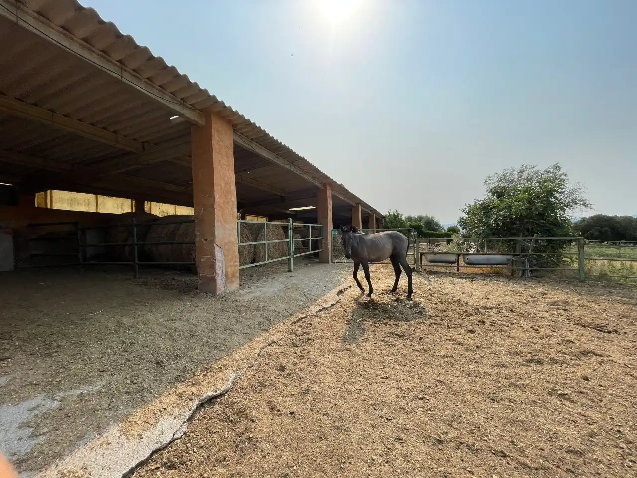 Vista exterior de Finca rústica en venda en Cruïlles, Monells I Sant Sadurní de L'Heura amb Aire condicionat, Calefacció i Jardí privat