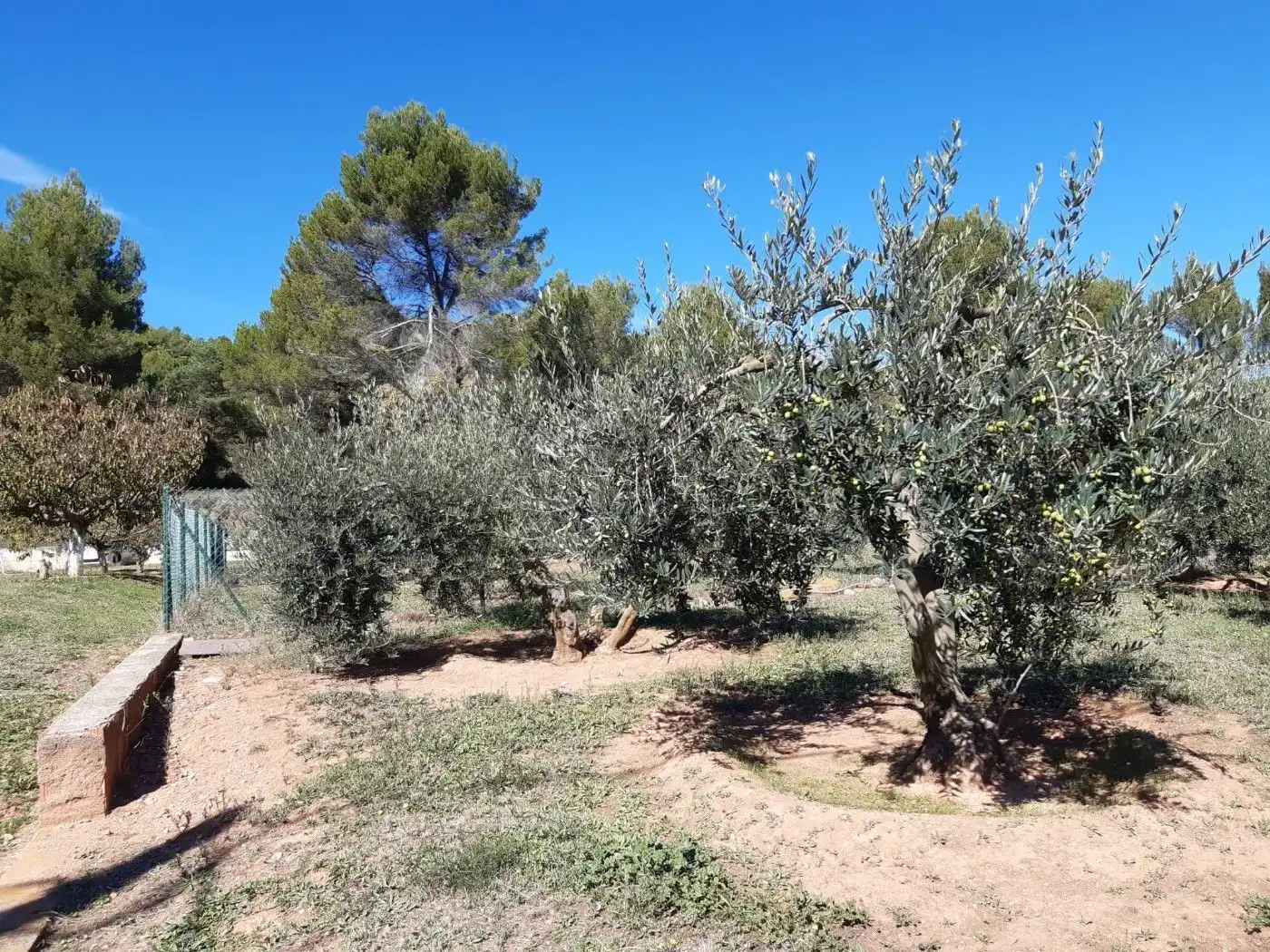 Residential land for sale in Carrer del Vapor, imagen 4