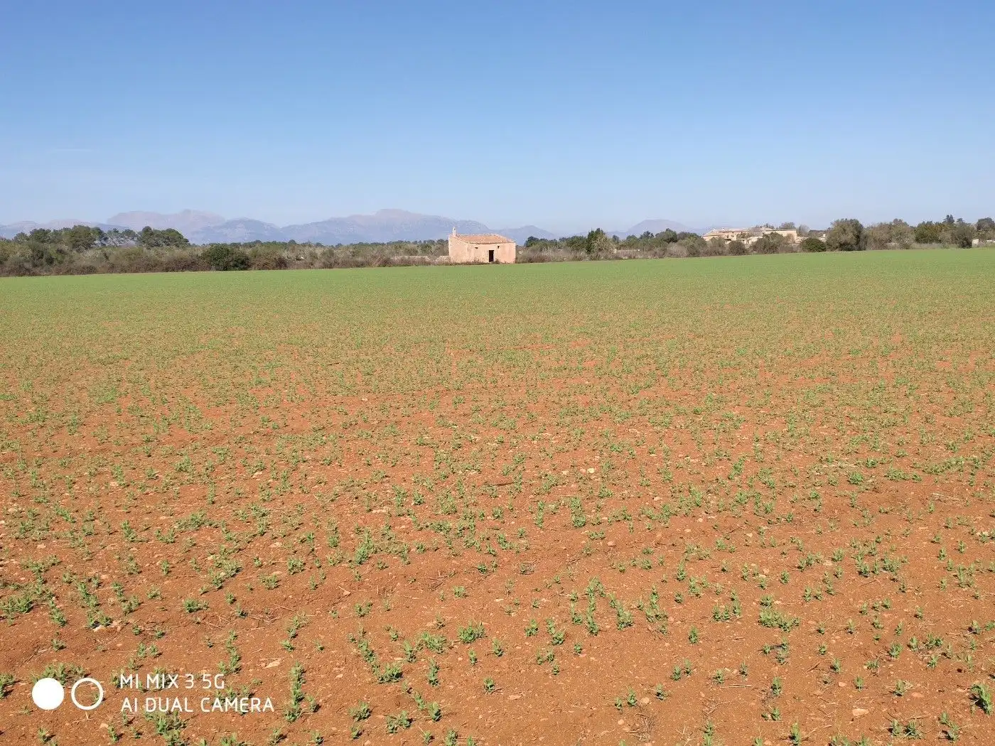 Terrain résidentiel à vendre à Algaida, imagen 7
