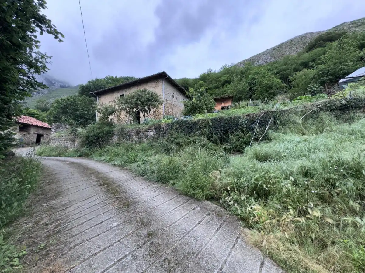 House for sale in Peñamellera Alta, imagen 11