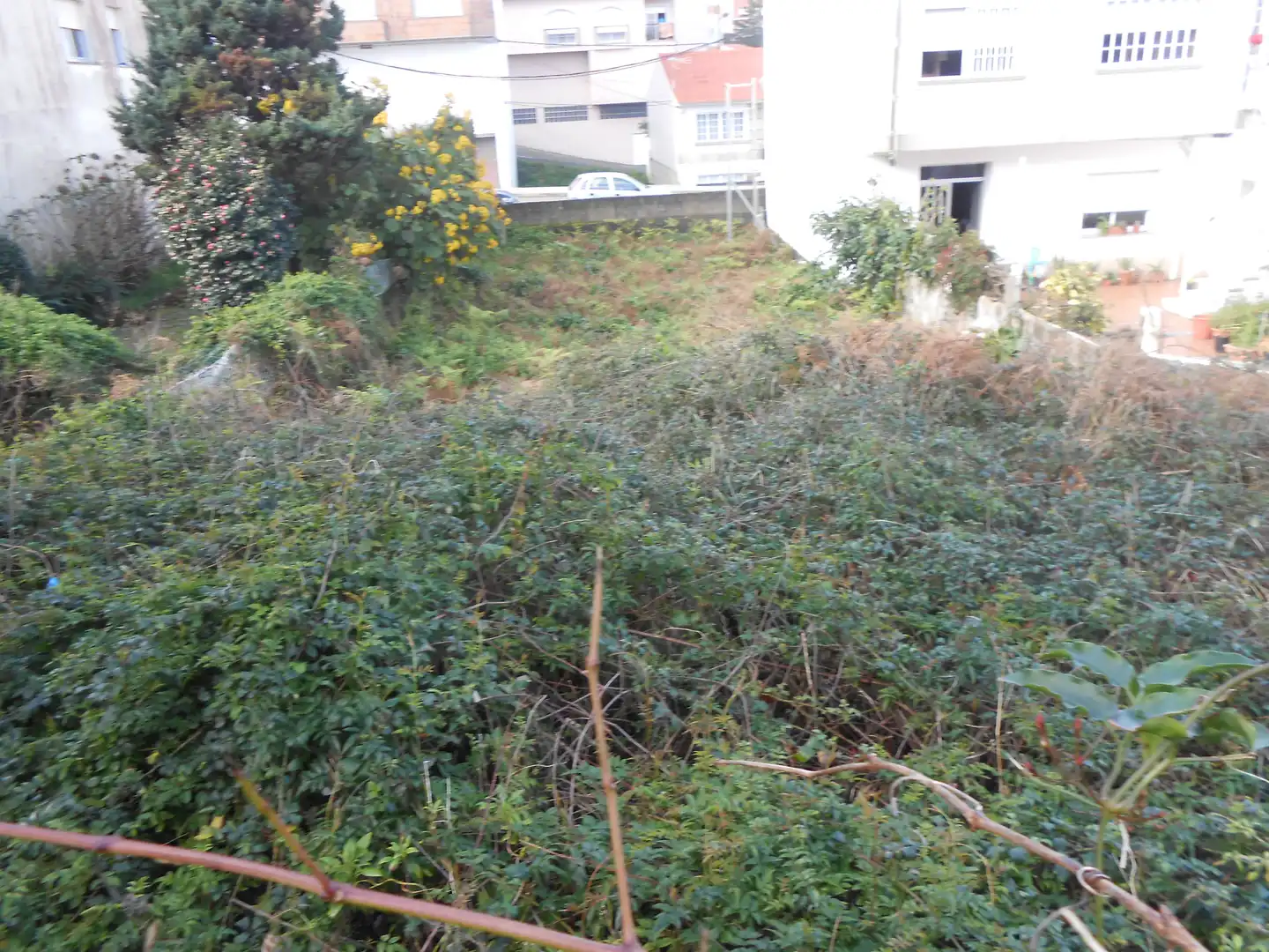 Terreno residenziale in vendita a LUIS ANTONIO MESTRE, imagen 11