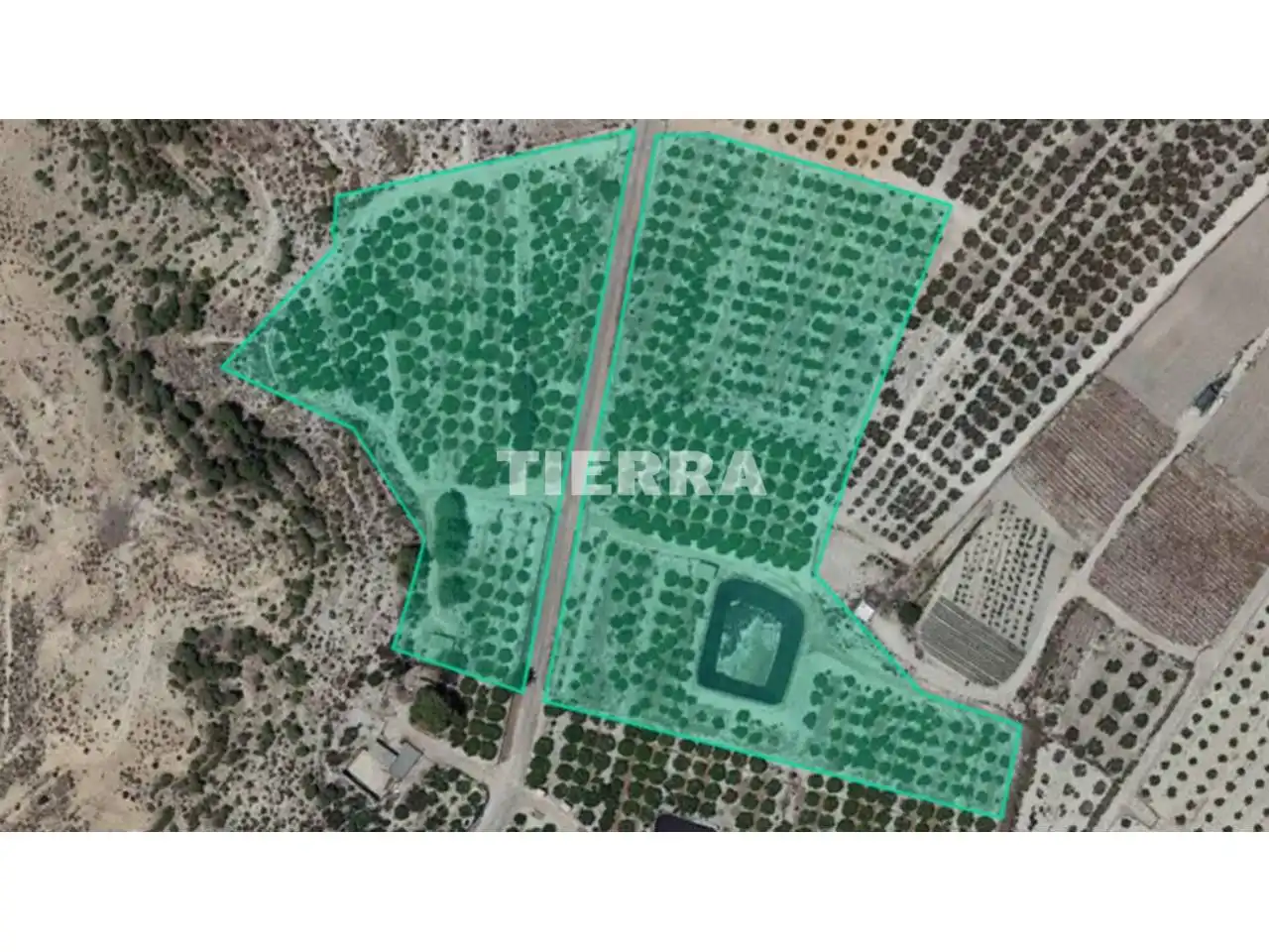 Lands and plots for sale in Poligono El Semolilla, imagen 27