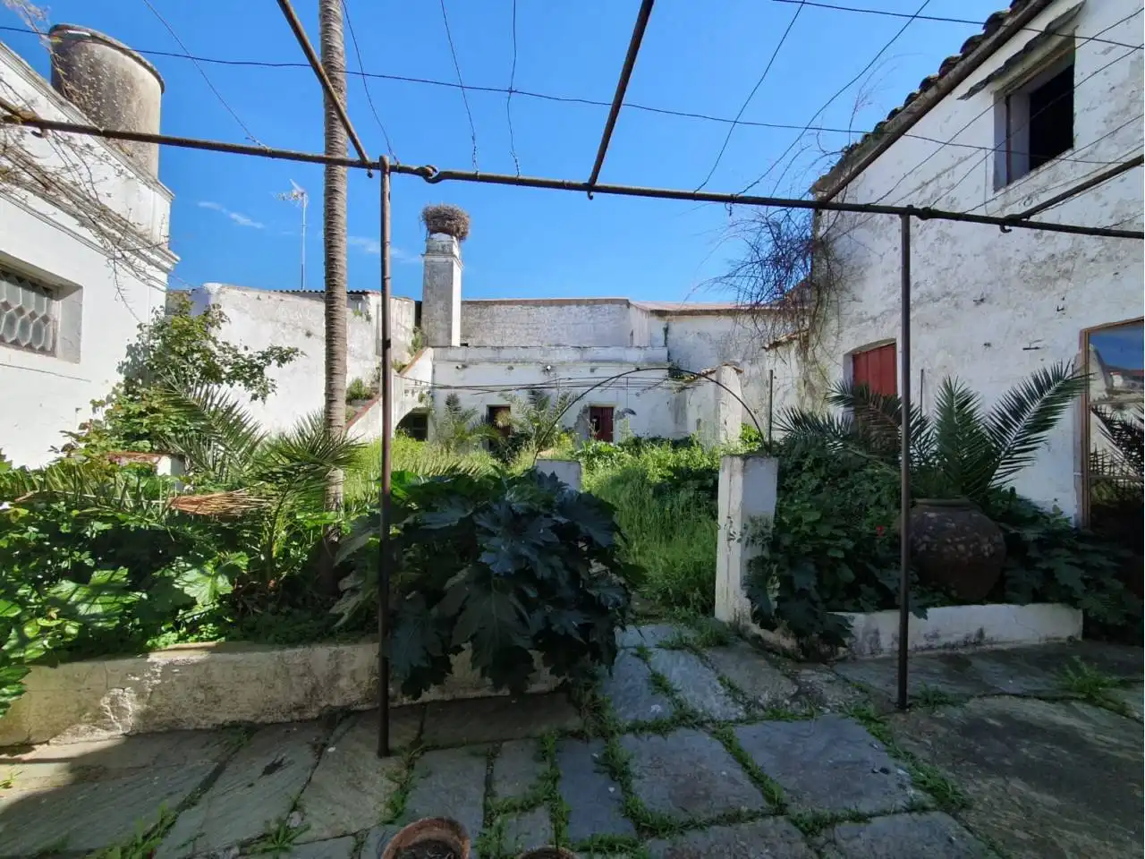 Jardín de Casa o chalet en venta en Higuera de Vargas