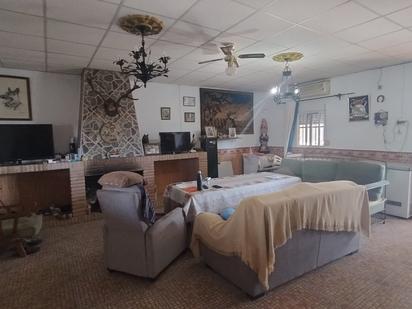 Sala d'estar de Casa o xalet en venda en Villamanrique de la Condesa amb Aire condicionat, Calefacció i Terrassa