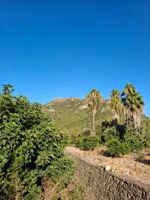 Terrain rustique à vendre à Terrenos MARXUQUERA  ALTA, imagen 17
