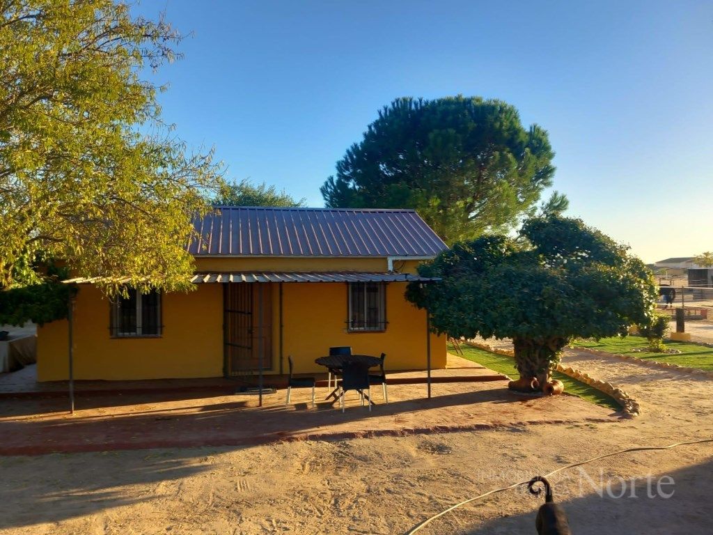 Vista exterior de Casa o xalet en venda en Fuente El Saz de Jarama