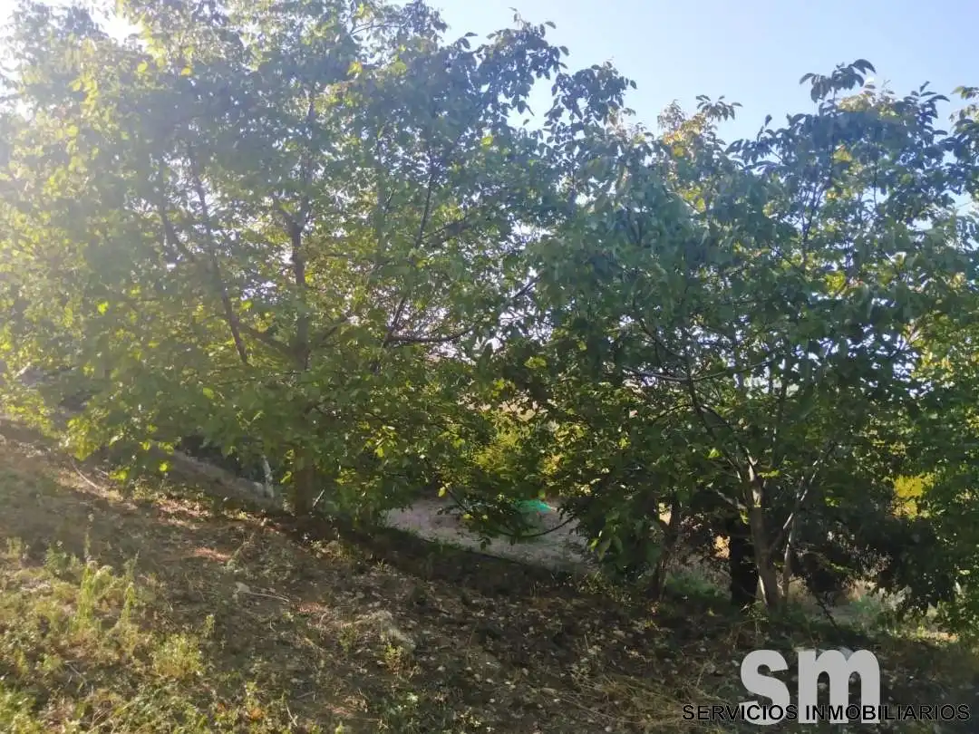 Terreno en venta en Zahara