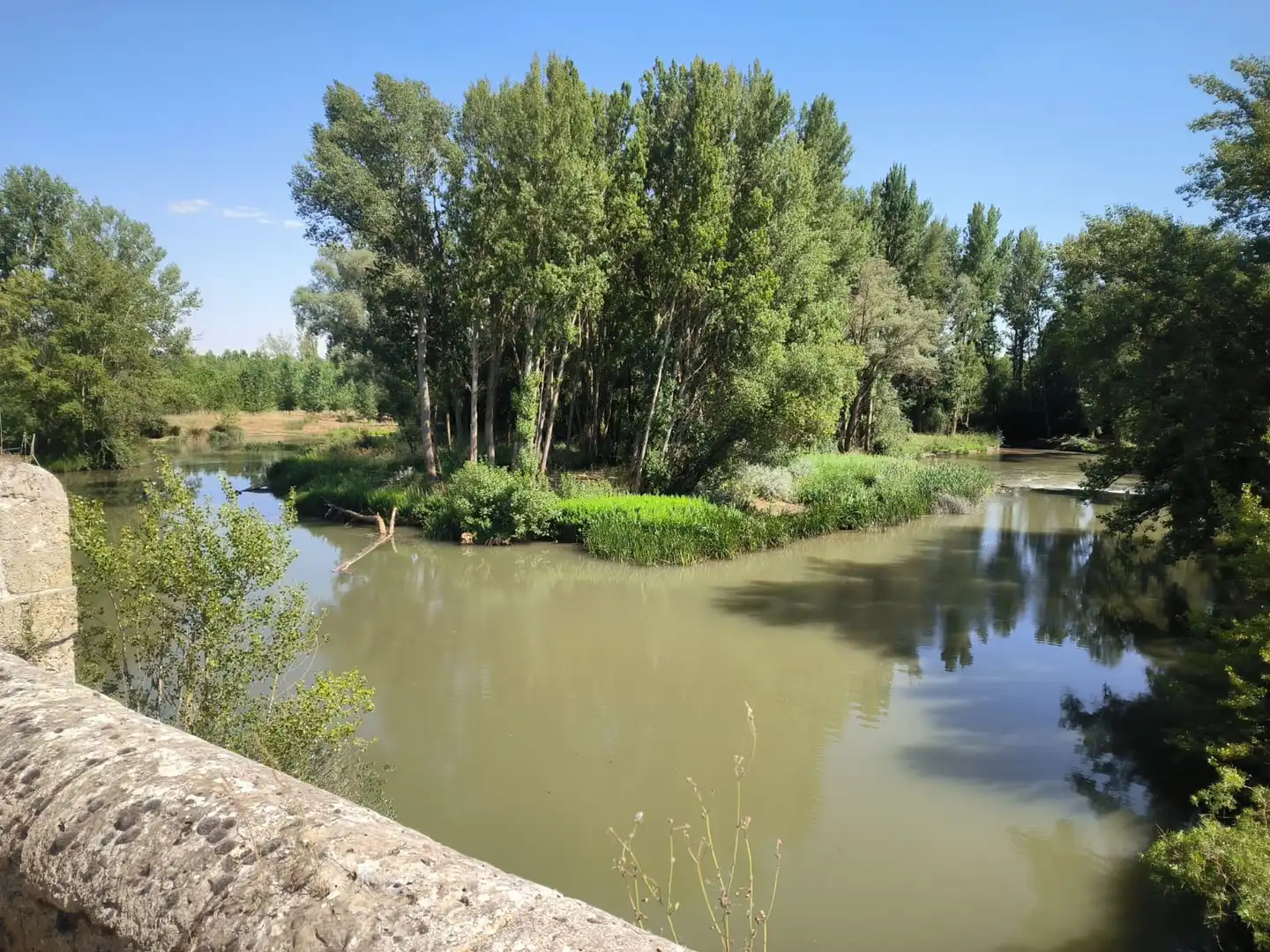 Jardí de Casa o xalet en venda en Palacios de Riopisuerga amb Jardí privat i Balcó