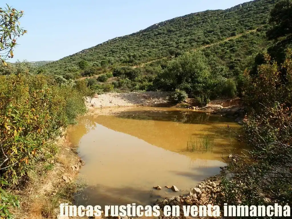 Terreny rústic en venda a Alcolea de Calatrava, imagen 3