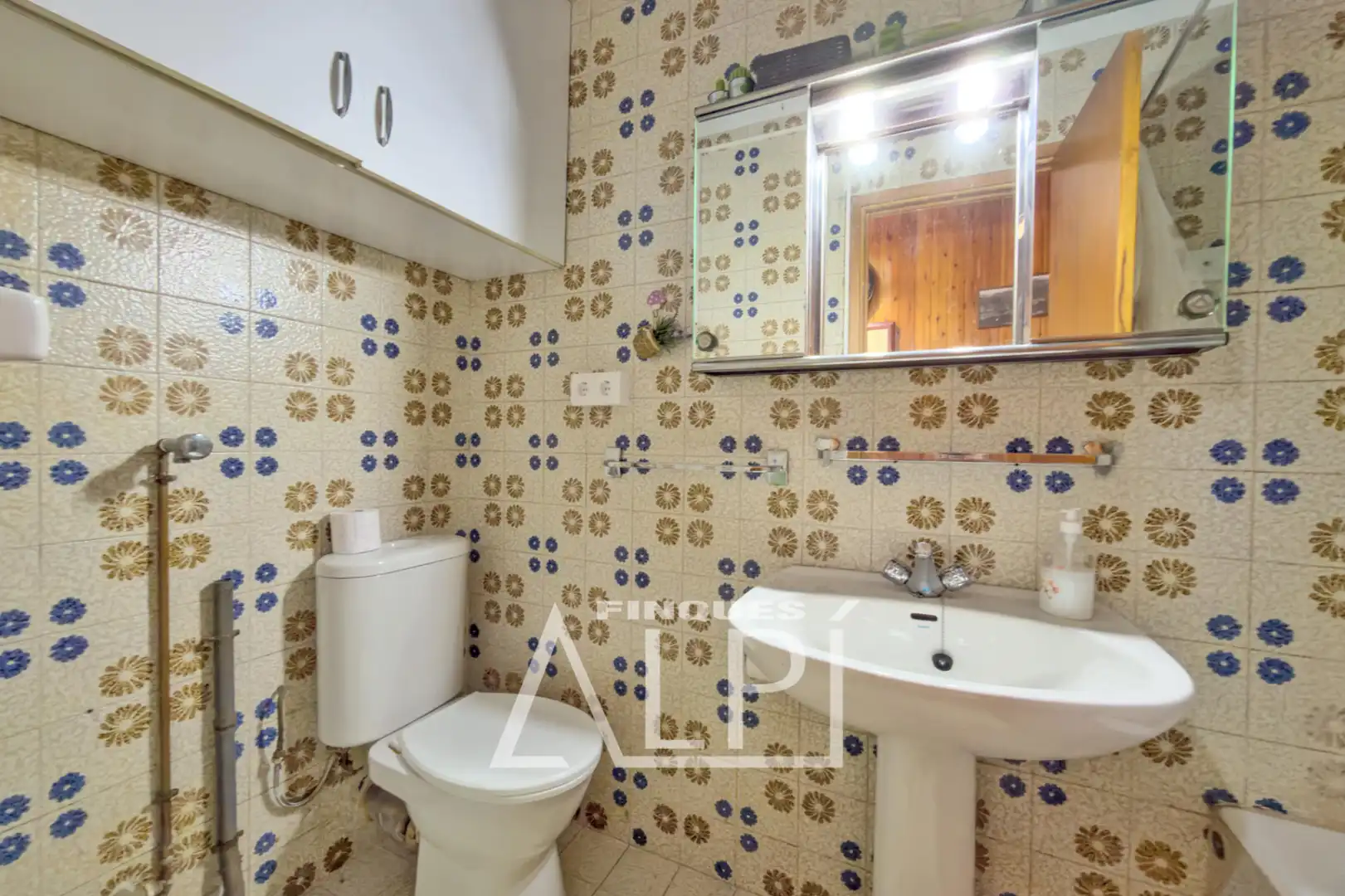 Bathroom of Apartments for sale in Alp  with Heating, Storage room and Furnished