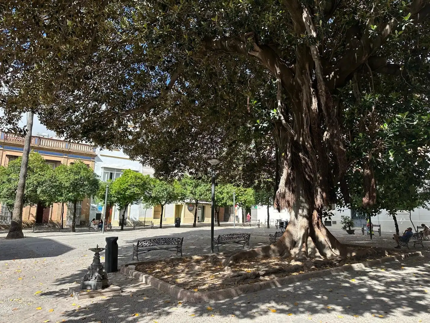 Vista exterior de Casa o chalet en venta en Jerez de la Frontera con Aire acondicionado, Trastero y Amueblado