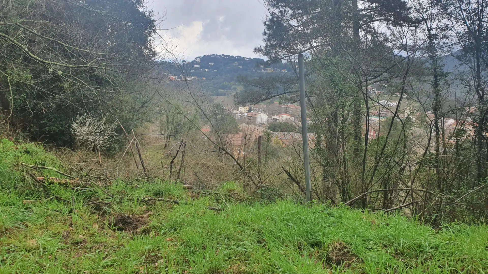 Terreno rústico en venta en Carrer Montvall 1, imagen 2