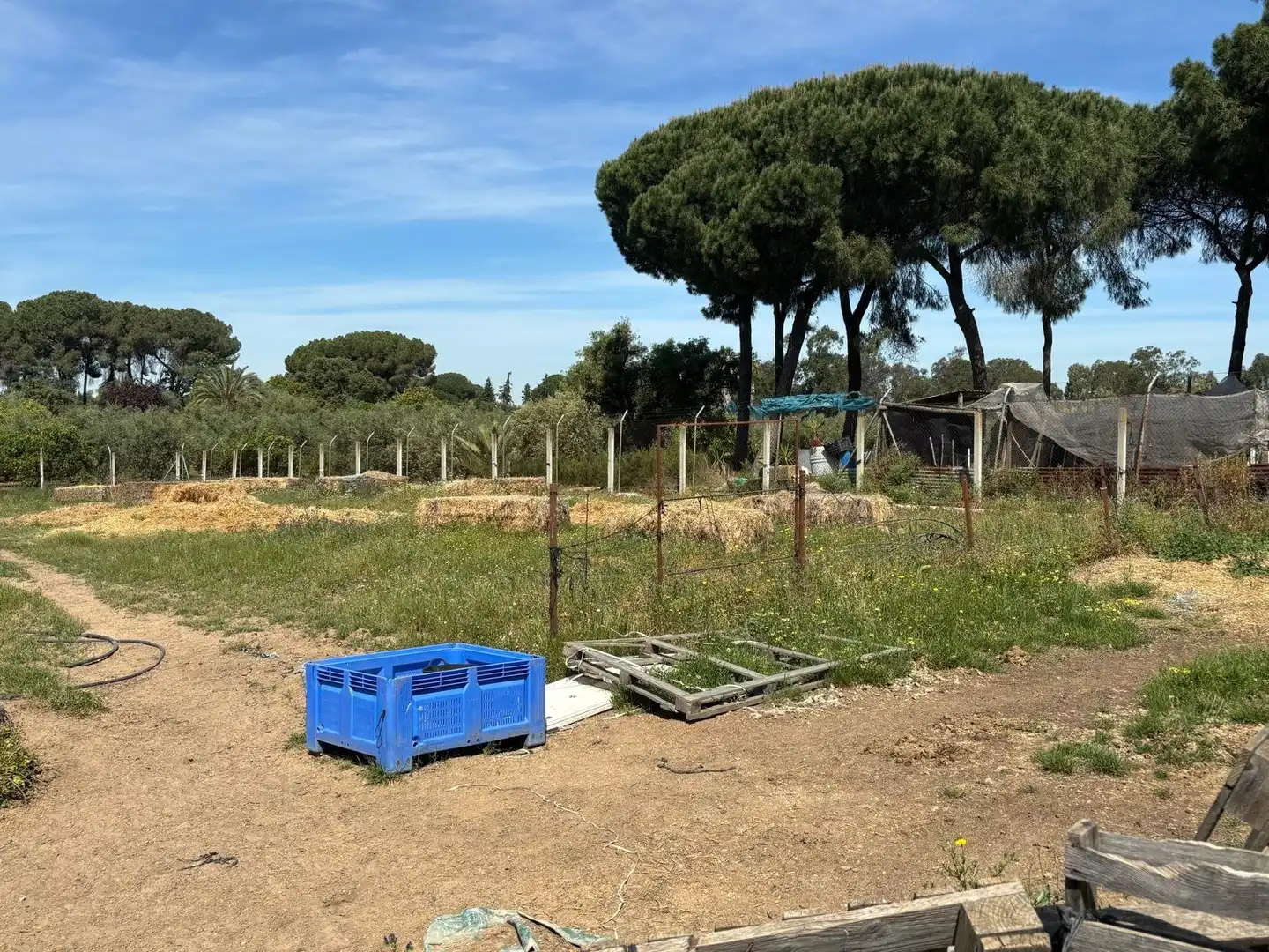 Terreni e lotti in vendita a Polígono Polígono 14 Paraje 87 LOS MONTES, imagen 12