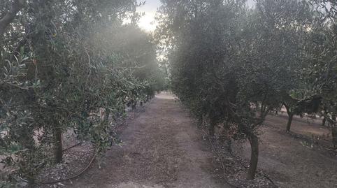 Photo 4 of House or chalet for sale in N/a, -1, Maials, Lleida