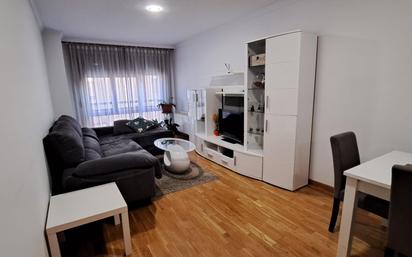 Living room of Flat for sale in Cuéllar