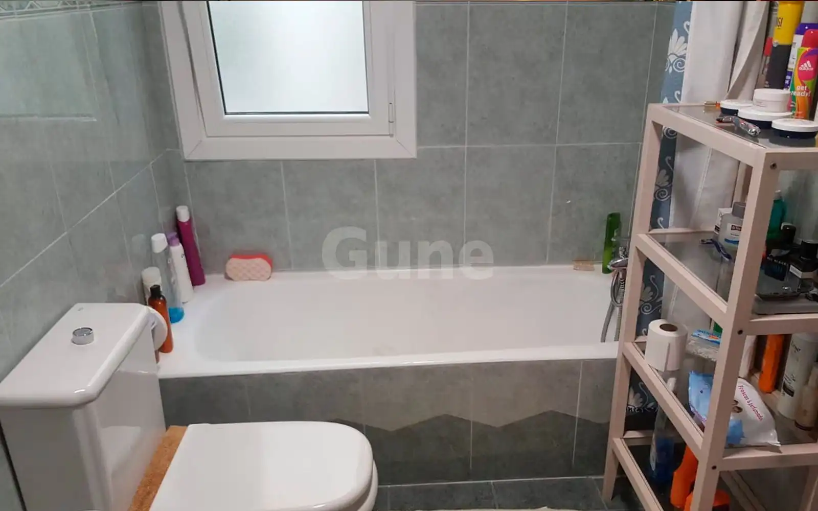 Baño de Piso en venta en Ordizia