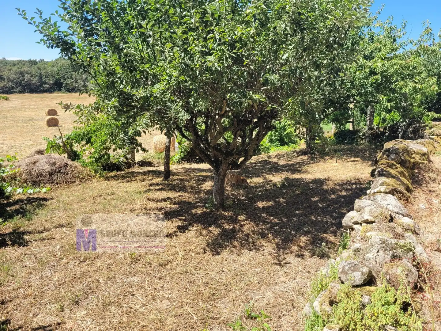 Maison mitoyenne avec terrasse à louer à Rúa Santo Estevo 2, imagen 2