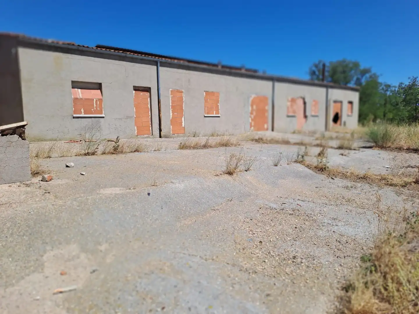 Nave industrielle à vendre à Cantimpalos, imagen 5