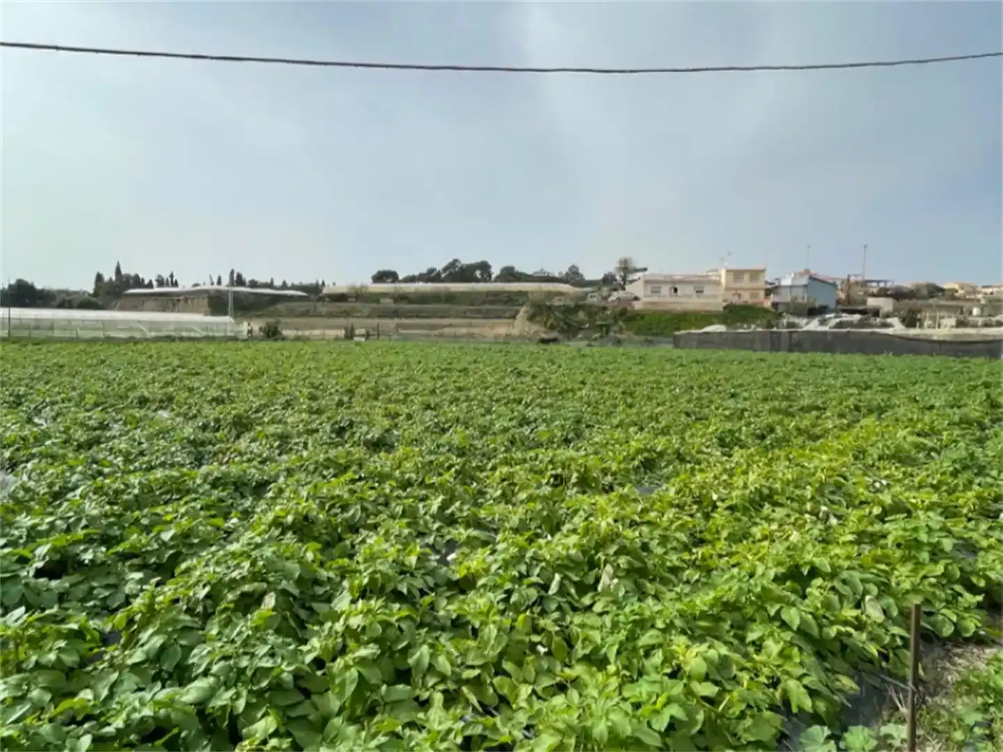 Finca rústica en venda en Algarrobo