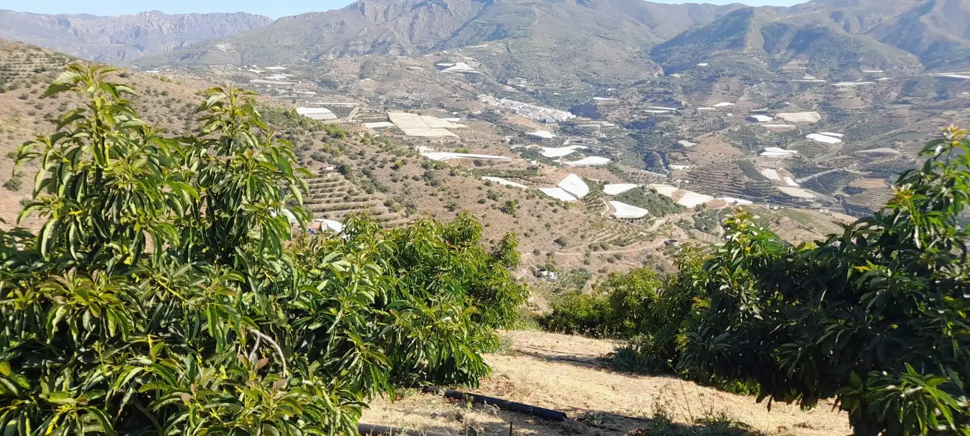 Terreno rustico in vendita a Ítrabo, imagen 6