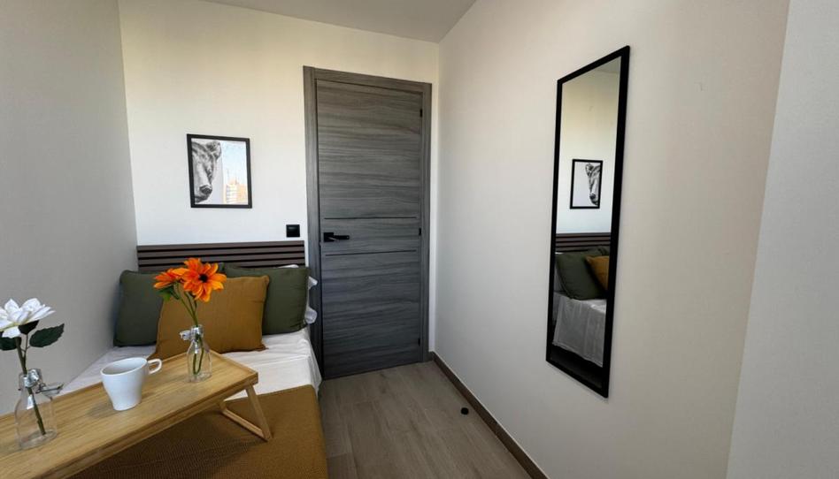 Photo 1 of Apartment to share in El Naranjo, Madrid