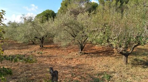 Foto 5 de Terreno en venta en Carrer Major, Barri del Centre, Terrassa