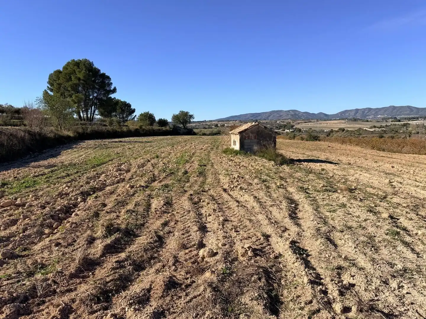 Terreno rustico in vendita a Albaida, imagen 9
